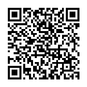 这个柳条上神秘且强大的结构很好地抵消了小魔头的那一记重击二维码生成