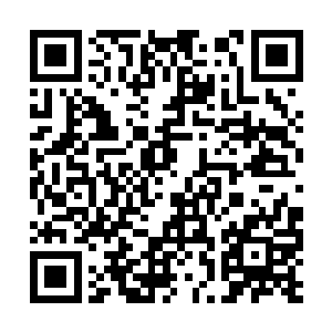 这个核电产业包括配套产业领域就被他们彻底打通二维码生成