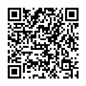 这个森罗院所在的空间明显和三界和外界都不相同二维码生成