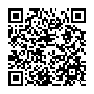 这个次序是混元法灵根据他们通过九门试炼的表现二维码生成