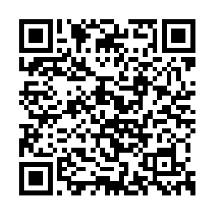 这个武器在不知不觉中便受到了陈诚的影响……二维码生成