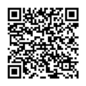 这个武艺超群的年轻人大概还从来没有这样惊恐过二维码生成