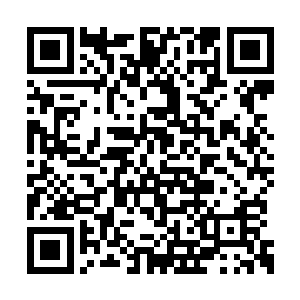 这个死亡时间和他真正的死亡时间是相差无几的二维码生成