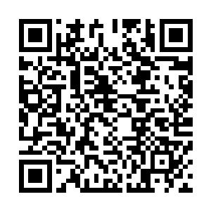 这个没有小拇指的女孩便是时常和小红他们待在一起的依依二维码生成
