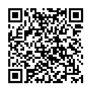 这个洞天的元脉应是被上古修士以特殊手法封禁了起来二维码生成