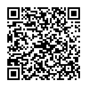 这个海盗只看到韩风年轻的面容就误以为韩风是实力不怎么样的大家族公子哥二维码生成