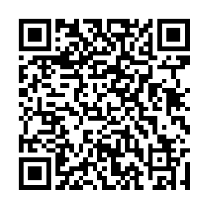 这个海鲜帮在龙城市只能算是一个二流的黑帮组织二维码生成