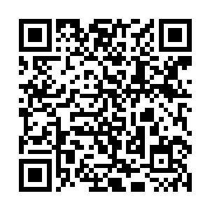 这个消息被经济情报局的人故意泄露给了重庆军政府二维码生成