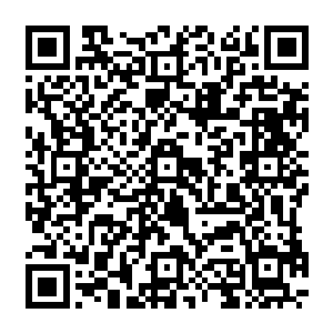 这个漂亮的小男孩就是葛红玉身边那个美地令木萦都有些目眩神迷的男子手里拉着的小男孩二维码生成