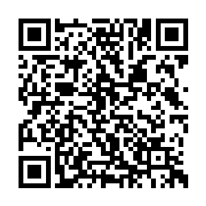 这个灵兽就像是一个冰雕一样冻在了这个湖面上二维码生成