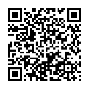 这个灵力释放的攻击连禁制的一个波纹都没有荡起二维码生成