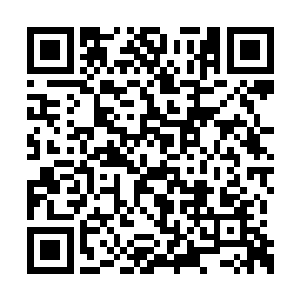 这个状况在王家和苏家还是引起来了相当的震动二维码生成