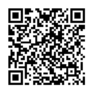 这个狂啸诀应该是某个修士结合魔族的修炼法诀创出来的二维码生成