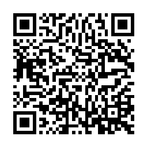 这个生命之树恐怕是铁了心的想要让自己感悟出生之道韵才行了二维码生成
