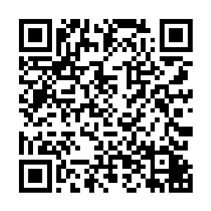 这个界主简直将整个蛮荒古界绝大多数的宝贝都据为己有二维码生成