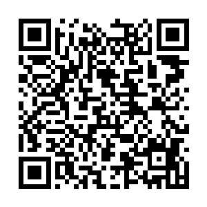 这个疯子都体会到了沐浴在另一个疯子的疯狂之下二维码生成