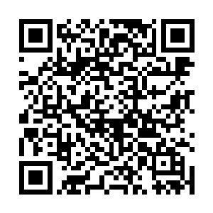 这个白痴竟然是一个能够从基础武技中领悟法则的怪胎二维码生成
