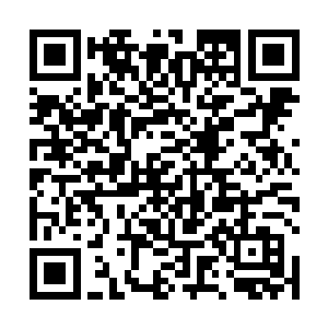这个监察殿殿主的身份不会给你带来任何的压力和束缚二维码生成