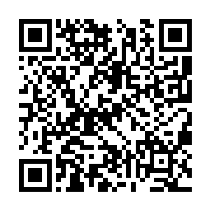 这个相传不到三千岁就已经修炼到帝级十一品的人二维码生成