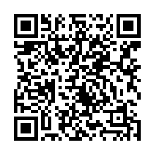 这个看上去一点力量都没有的少年却给了他一种极大的压力二维码生成