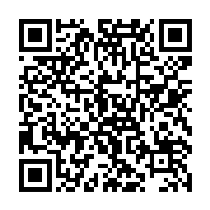 这个码头肯定是走私团伙最方便也是最好的一条线路二维码生成