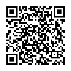 这个碎空间说不定就是百族时代浩劫降临之时形成的二维码生成