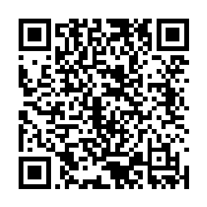 这个磨炼之地在化神期的眼里已经成为了陨落之地二维码生成