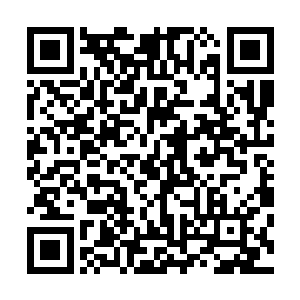 这个神秘世界距离真人类帝国远征军的前进路线并不是很远二维码生成