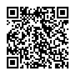 这个秘密只有我们引辰星诀一脉的历代传承者才知道二维码生成