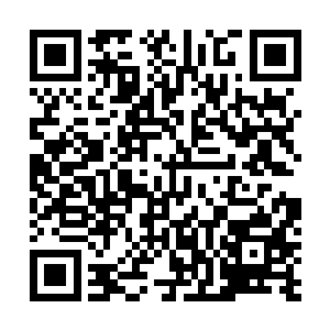 这个突然冒出来的青羽族到底是有多少人他们还没有摸清二维码生成