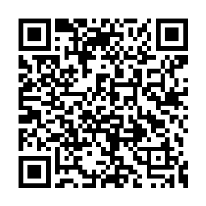 这个第二境界初期小青年风天翔怎么看怎么不爽二维码生成