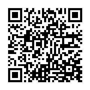 这个等沧游仙人和他的心腹们商议好了就会通知下来的二维码生成