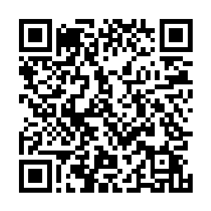 这个系列在儿童间取得的巨大人气也就没什么好奇怪的了二维码生成