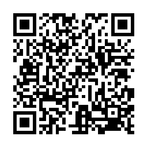 这个红发青年给魔王们的压力可是那个人族要大的多二维码生成