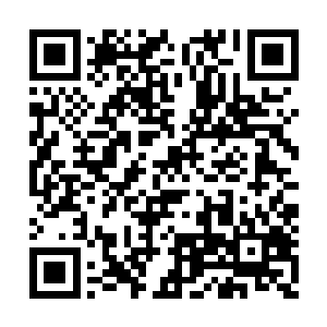 这个红路领军还碍着了他寻找索多玛之刃的道路二维码生成