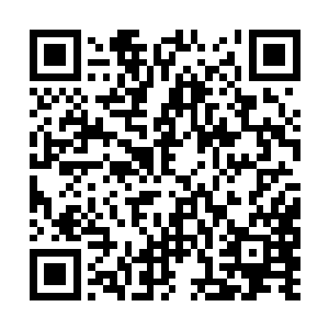 这个组合就算拥有绝世神物的他碰上了都得吃一壶二维码生成