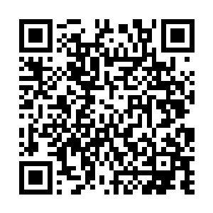 这个组织的考察身份证明材料的时间就她所知是一周左右二维码生成