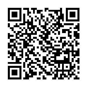 这个细节也让那些用乐观掩盖压抑的家人那么真实二维码生成