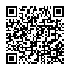 这个绝对不是一个人或者是两个人就能够做到的二维码生成