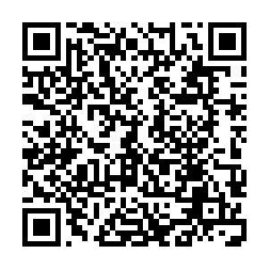 这个美女却是用堪比炼气巅峰得实力打破了他们这些青少年所有得荷尔蒙冲动二维码生成