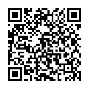 这个老头被白龙镇赵府的几个仆役架着丢到了大街上二维码生成