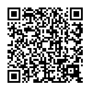 这个老怪物此刻的战力也是达到了一个相当恐怖的层次了……不过二维码生成