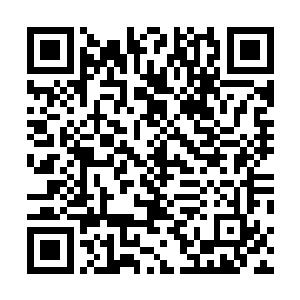 这个职位在赋予了他巨大权力和太夏官方显赫身份的同时二维码生成