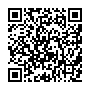 这个能力果然对灵魂载体有着百分百的杀伤力啊二维码生成