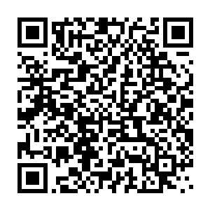 这个自己都不怎么看上眼的家伙居然悄没声的编制了一张这么大的网二维码生成