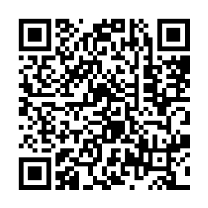 这个自称夜瞳的女人身份不像她自己说的那么简单吧二维码生成