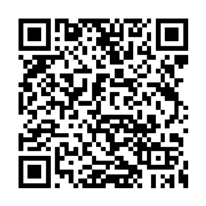 这个臭书生就是为了救她才弄成现在这个模样的二维码生成