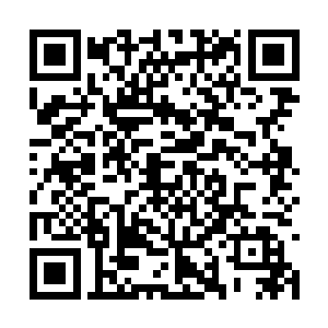 这个节目其实更重要的一点在于辣评一些娱乐新闻二维码生成