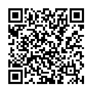 这个苏叶演绎的游诃不会真的把这连个学生推下去吧二维码生成