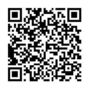 这个药园空间也比之前的时候更多了一股玄妙的气息二维码生成